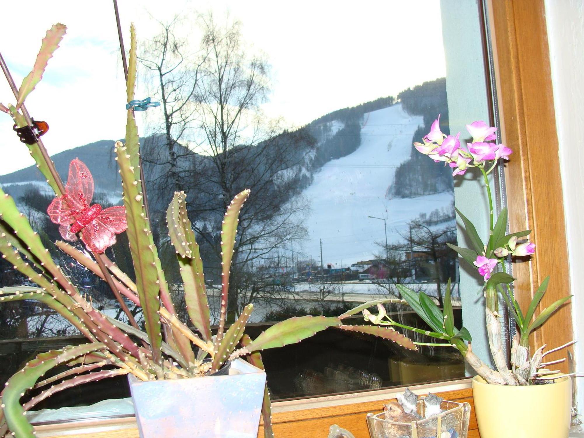 Appartement-Reiteralm Schladming Exteriör bild