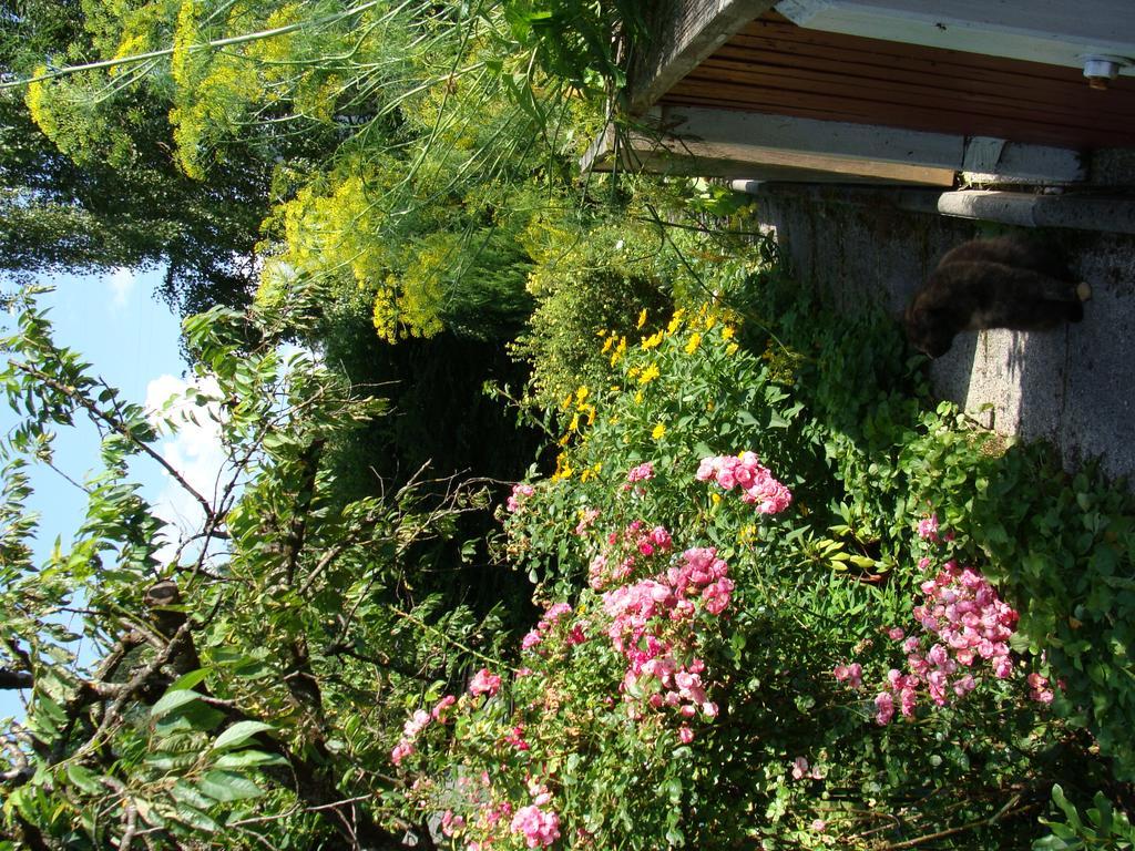 Appartement-Reiteralm Schladming Exteriör bild